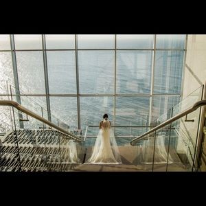 Cathedral wedding veil